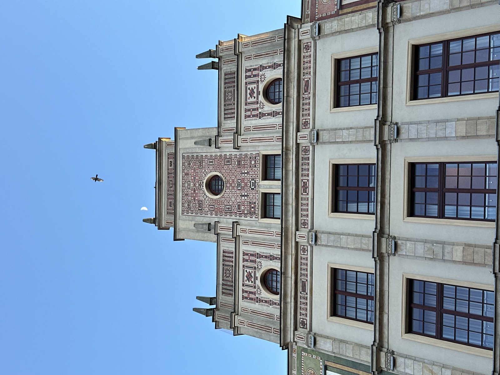 Looking up at an ornate gabled facade with circular windows, a bird crossing the frame